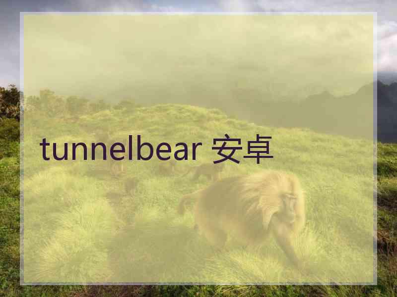 tunnelbear 安卓