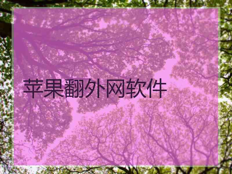 苹果翻外网软件