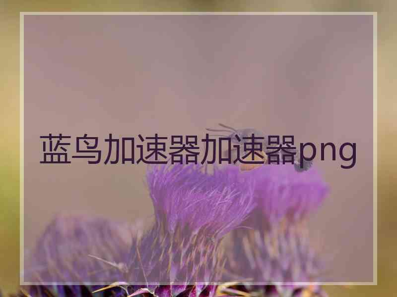 蓝鸟加速器加速器png