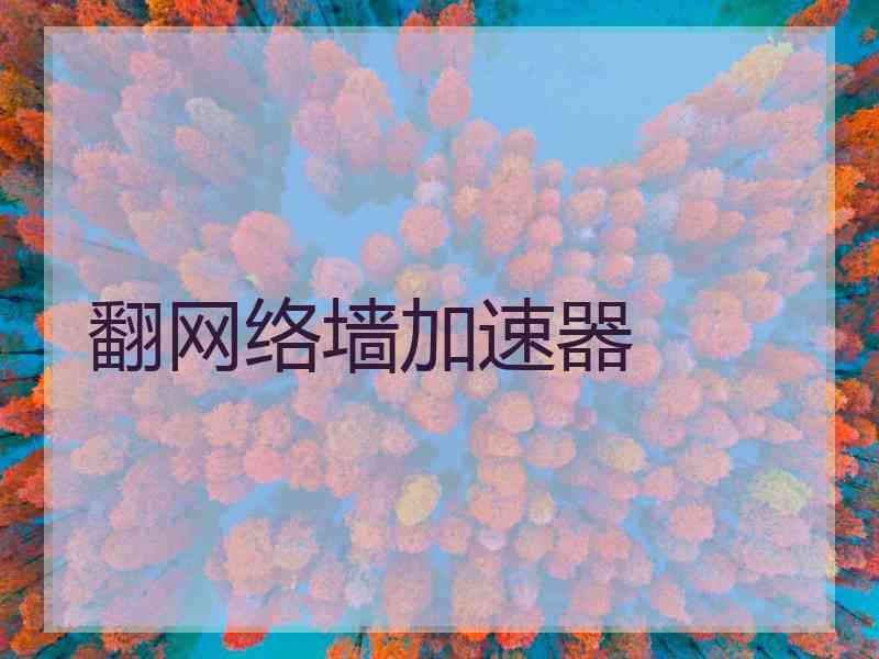 翻网络墙加速器