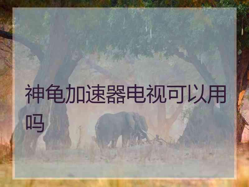 神龟加速器电视可以用吗