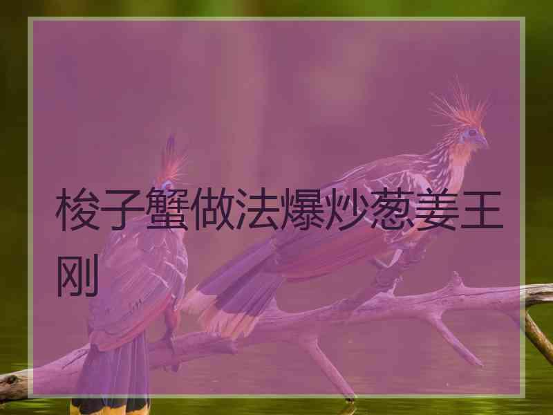 梭子蟹做法爆炒葱姜王刚