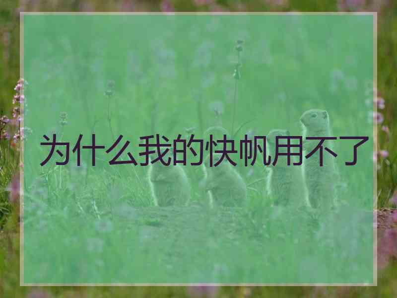 为什么我的快帆用不了