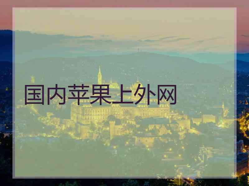 国内苹果上外网
