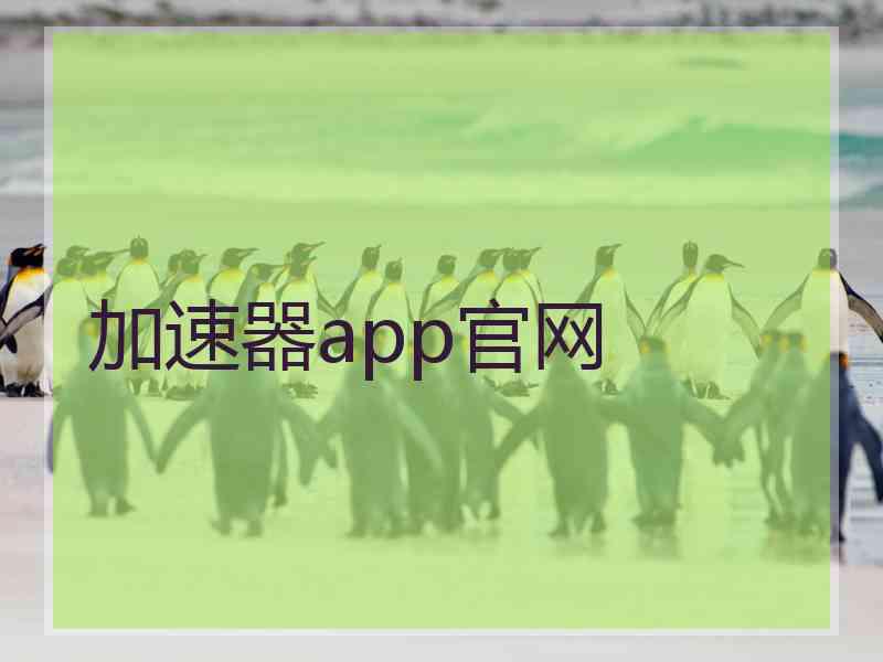 加速器app官网
