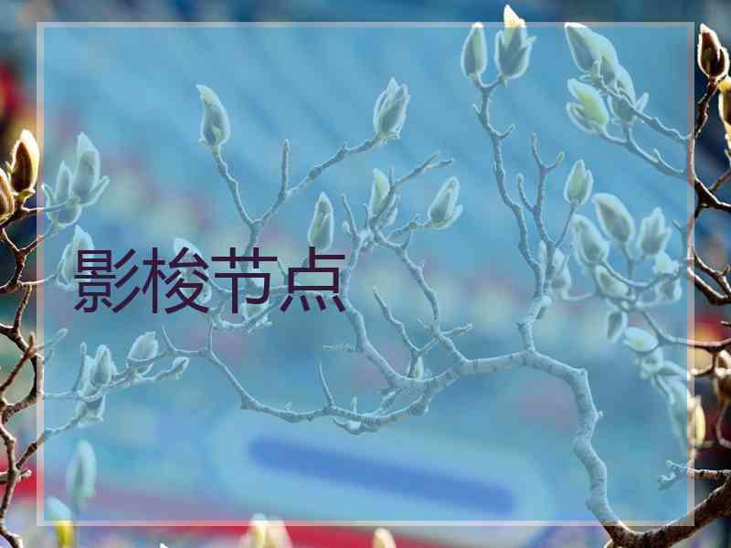 影梭节点