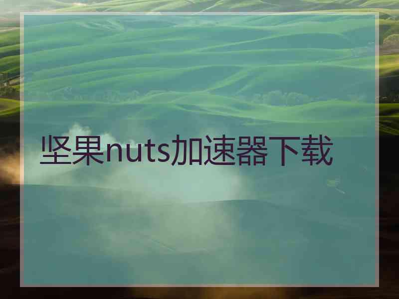 坚果nuts加速器下载