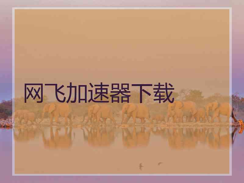 网飞加速器下载