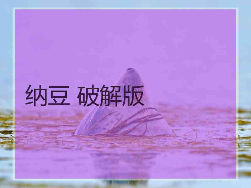 纳豆 破解版