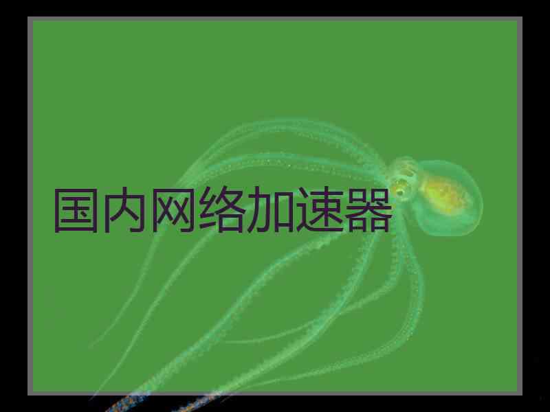 国内网络加速器