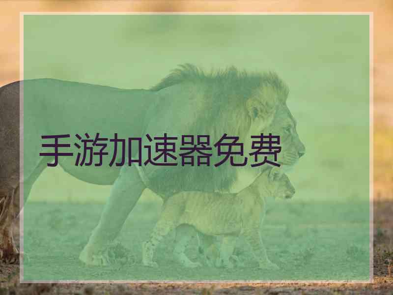 手游加速器免费