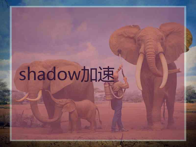 shadow加速