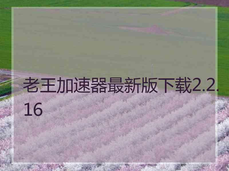 老王加速器最新版下载2.2.16