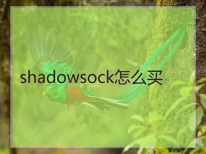 shadowsock怎么买