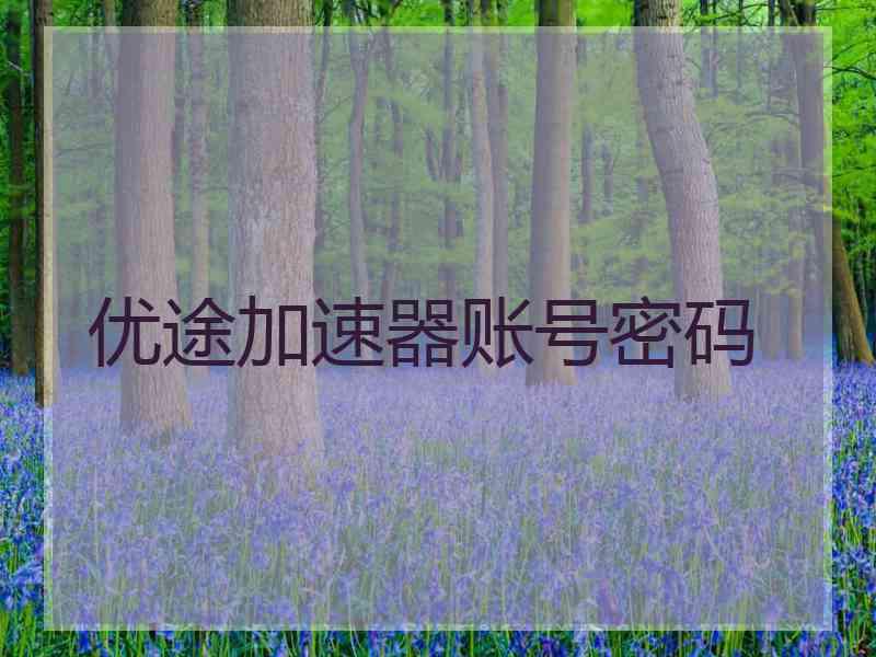 优途加速器账号密码