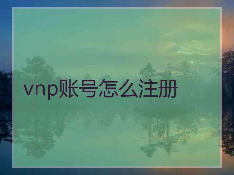 vnp账号怎么注册