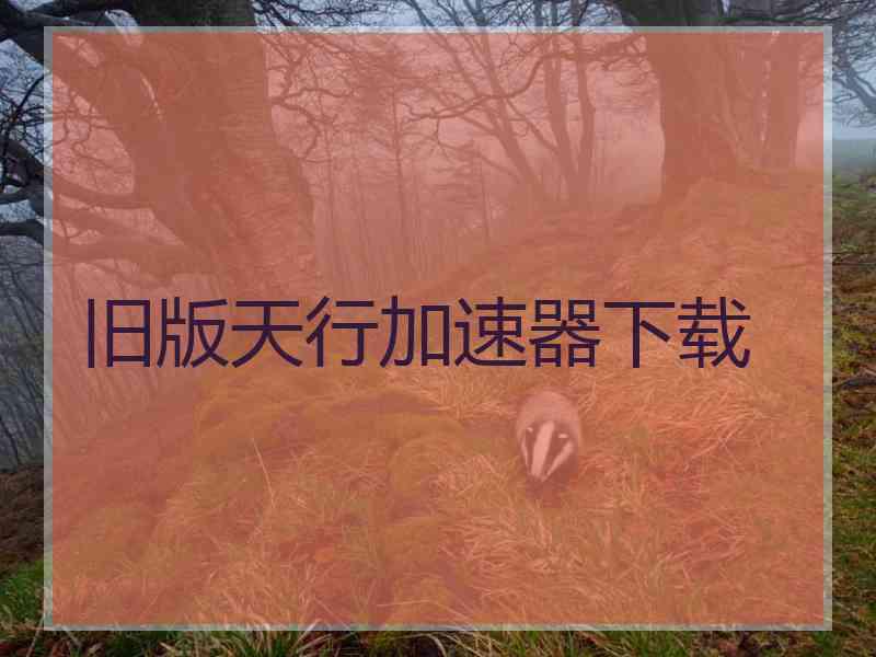 旧版天行加速器下载