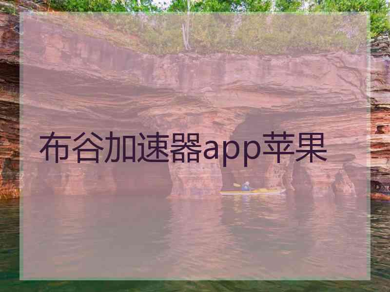 布谷加速器app苹果