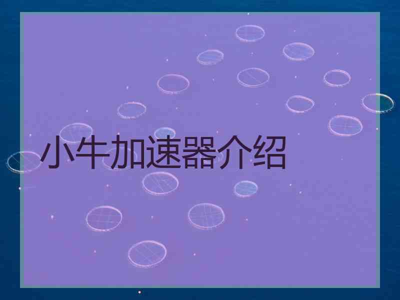 小牛加速器介绍
