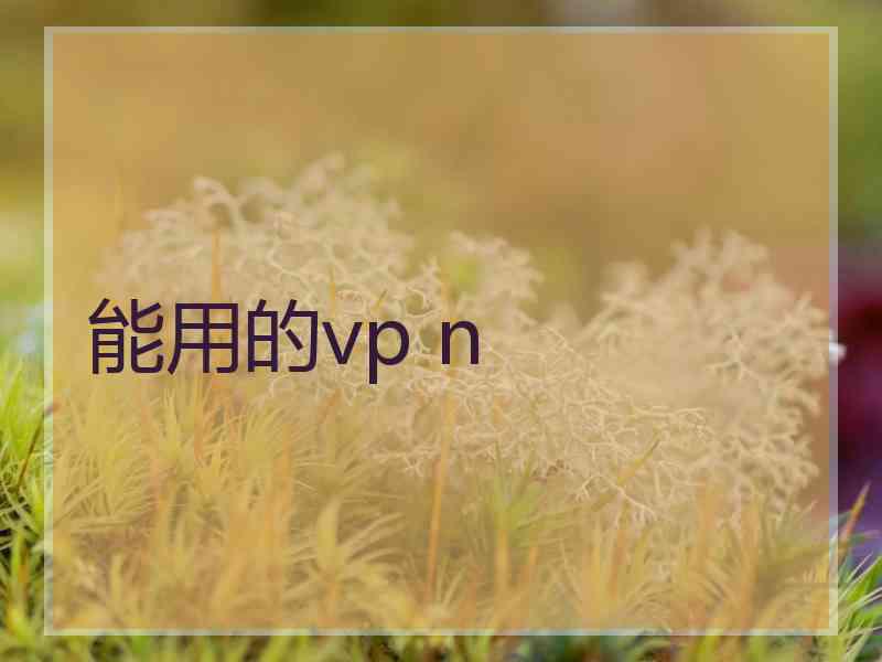 能用的vp n