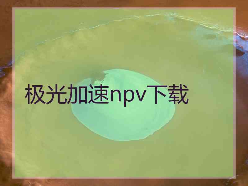 极光加速npv下载