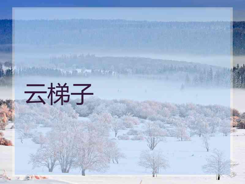 云梯子