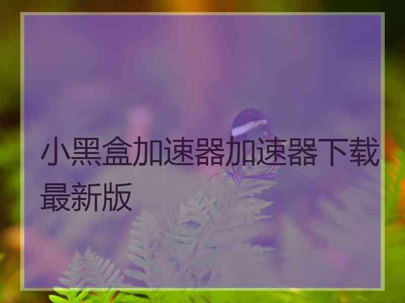 小黑盒加速器加速器下载最新版