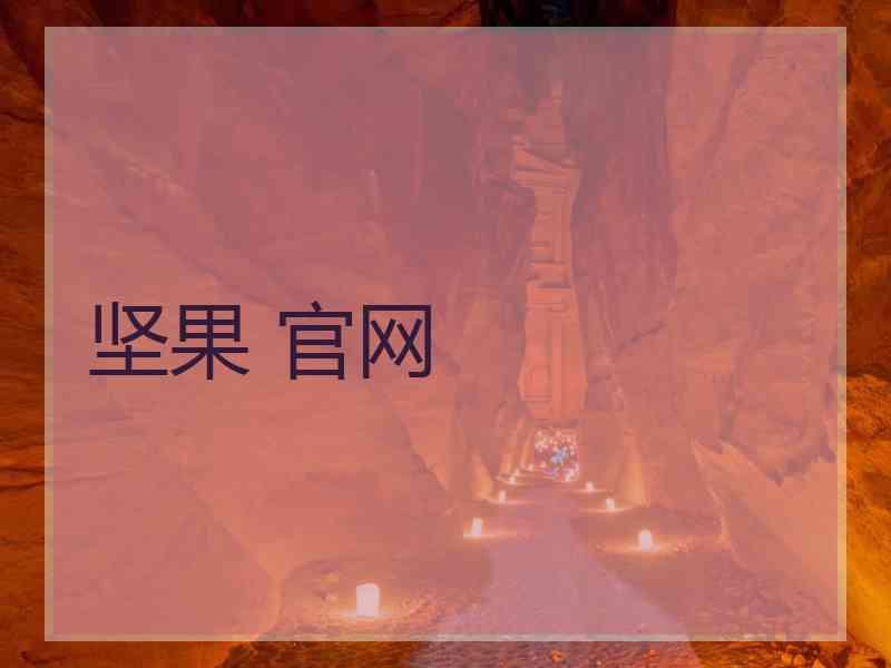 坚果 官网