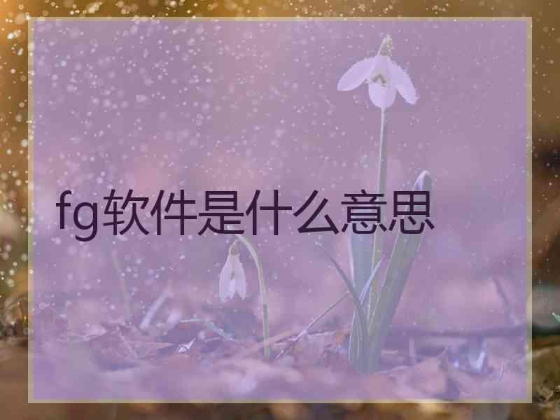 fg软件是什么意思