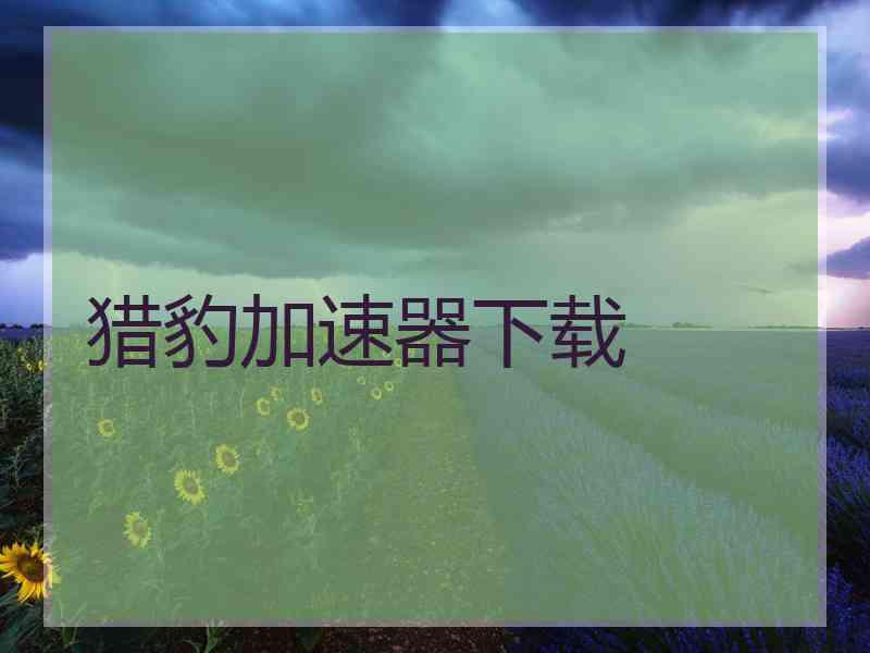 猎豹加速器下载