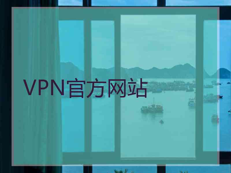 VPN官方网站