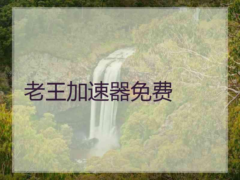 老王加速器免费