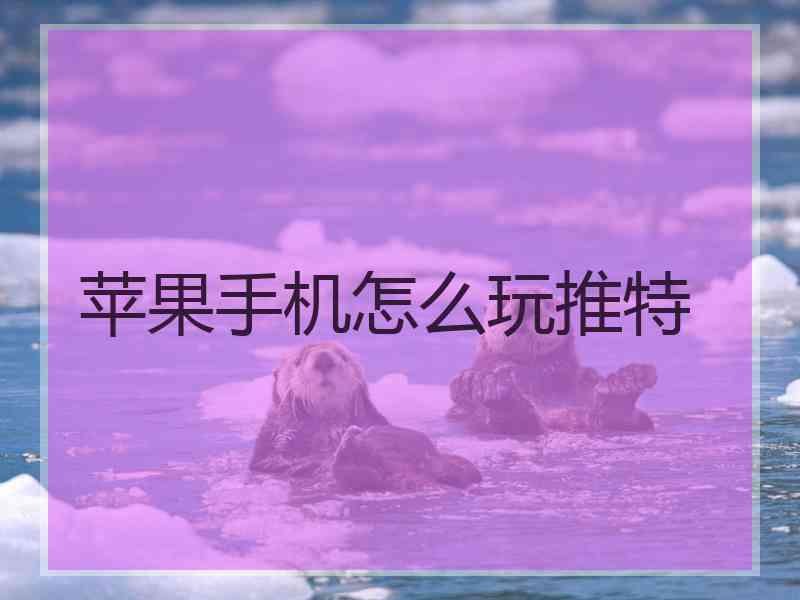 苹果手机怎么玩推特