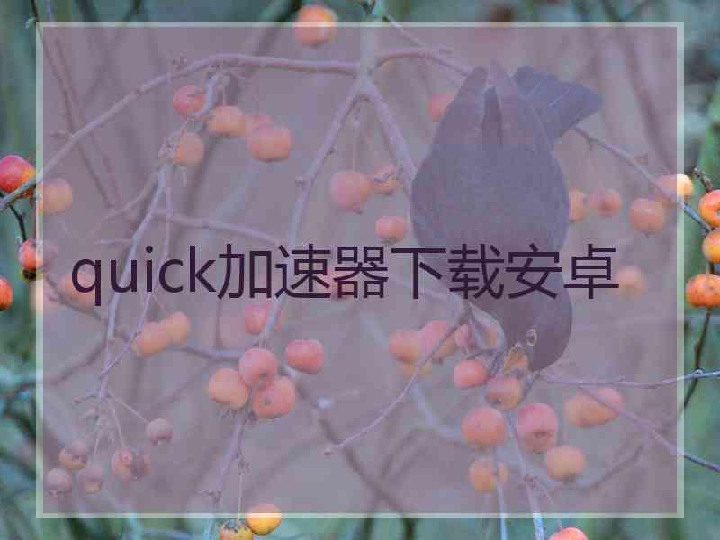quick加速器下载安卓