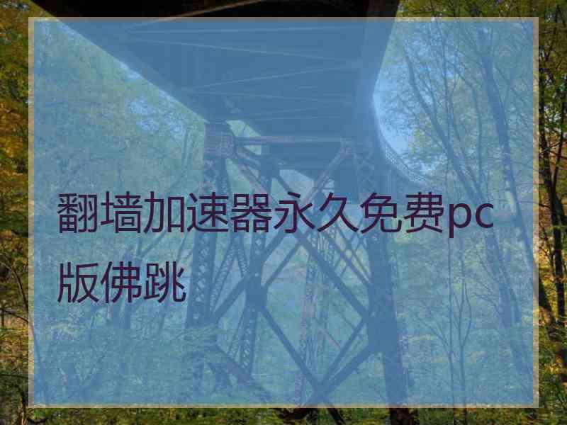 翻墙加速器永久免费pc版佛跳