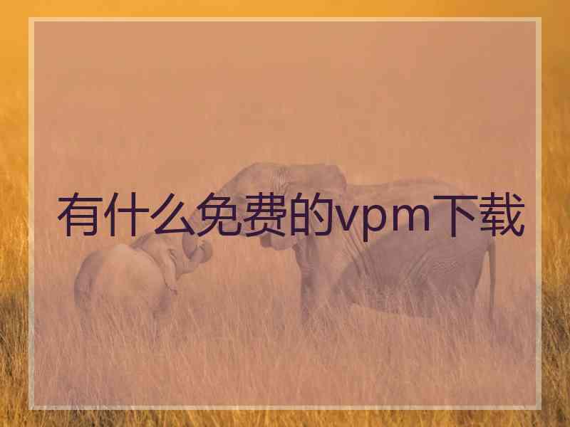 有什么免费的vpm下载