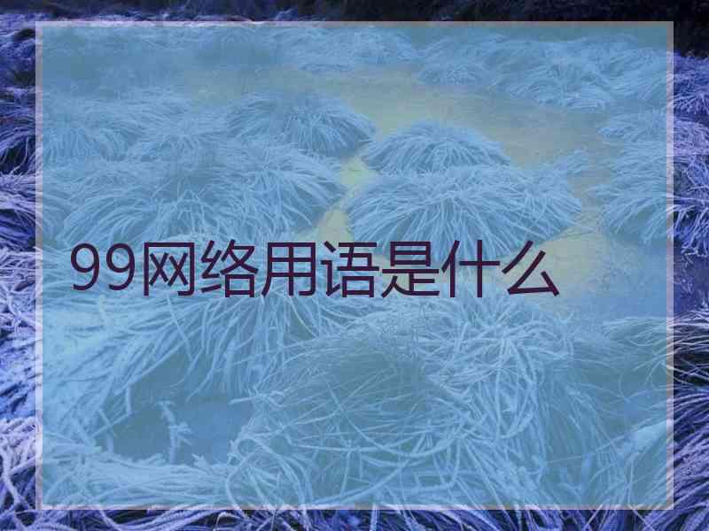 99网络用语是什么