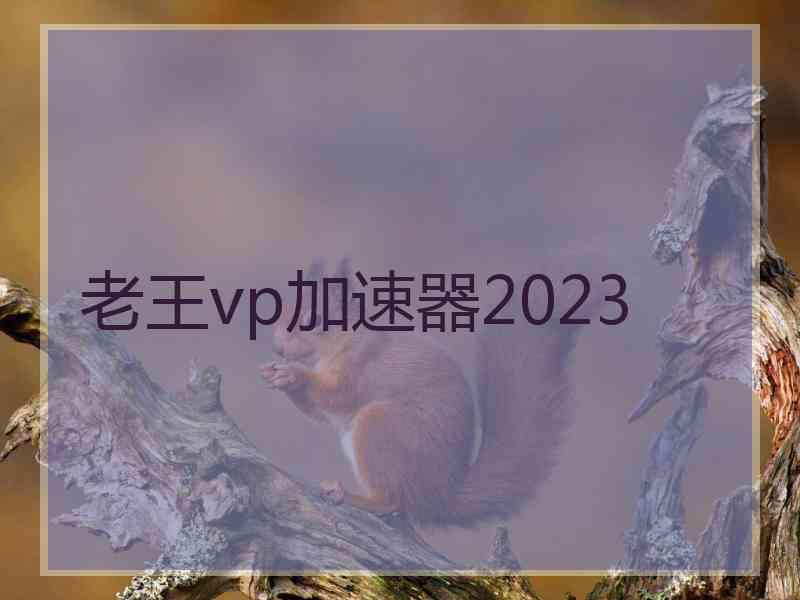 老王vp加速器2023