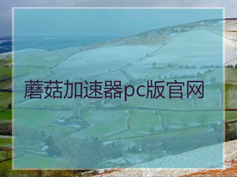 蘑菇加速器pc版官网