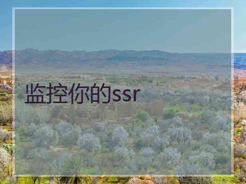 监控你的ssr