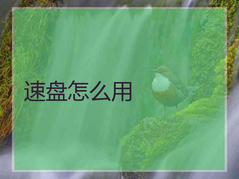 速盘怎么用