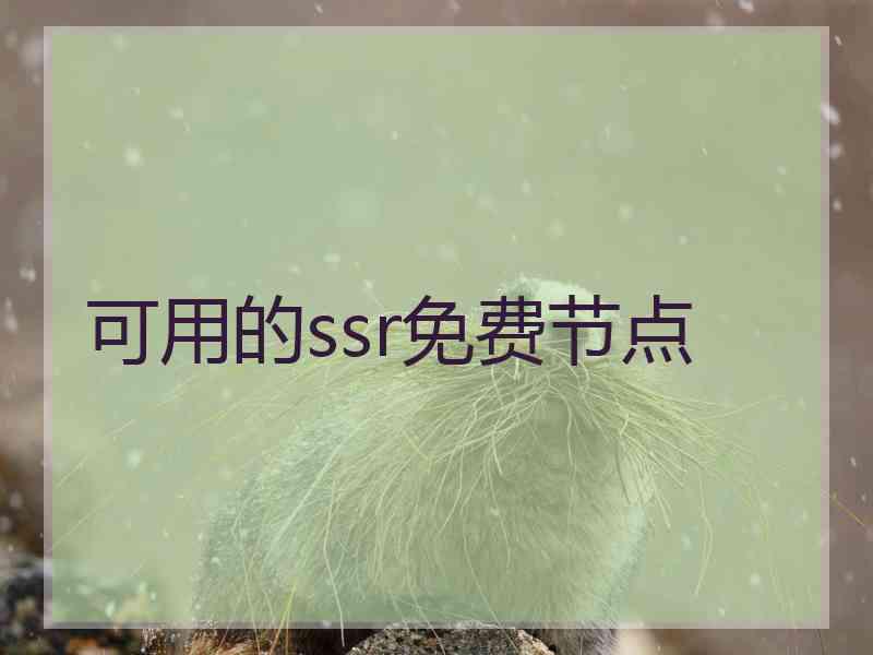 可用的ssr免费节点