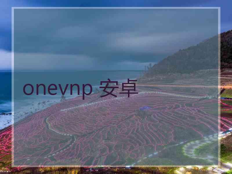 onevnp 安卓