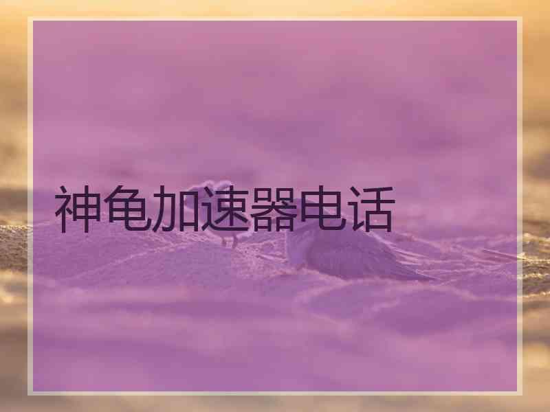 神龟加速器电话