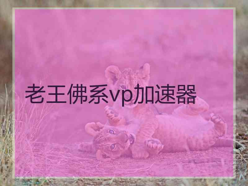 老王佛系vp加速器