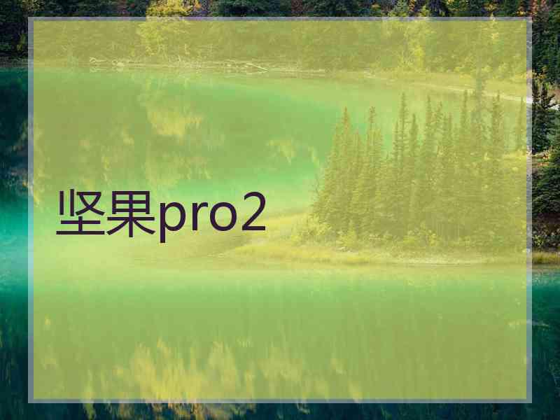 坚果pro2