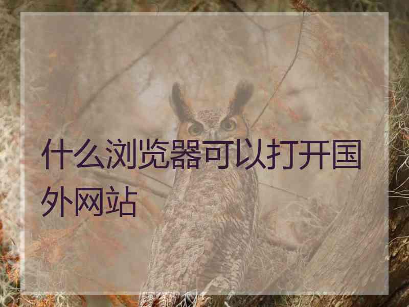 什么浏览器可以打开国外网站