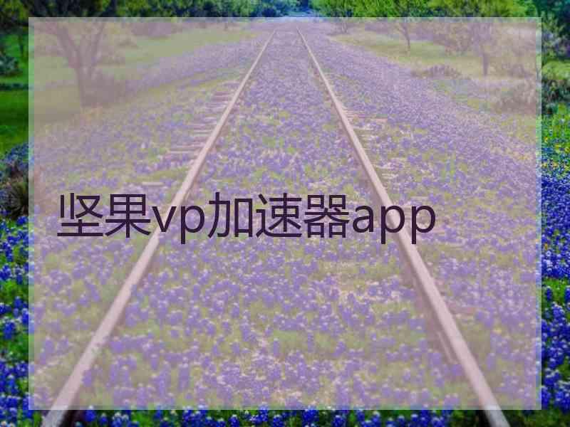 坚果vp加速器app