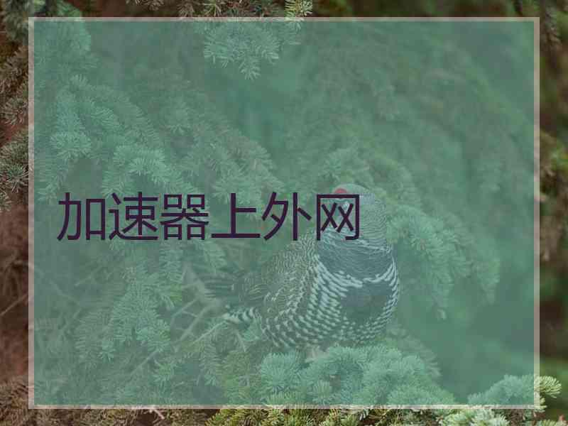 加速器上外网