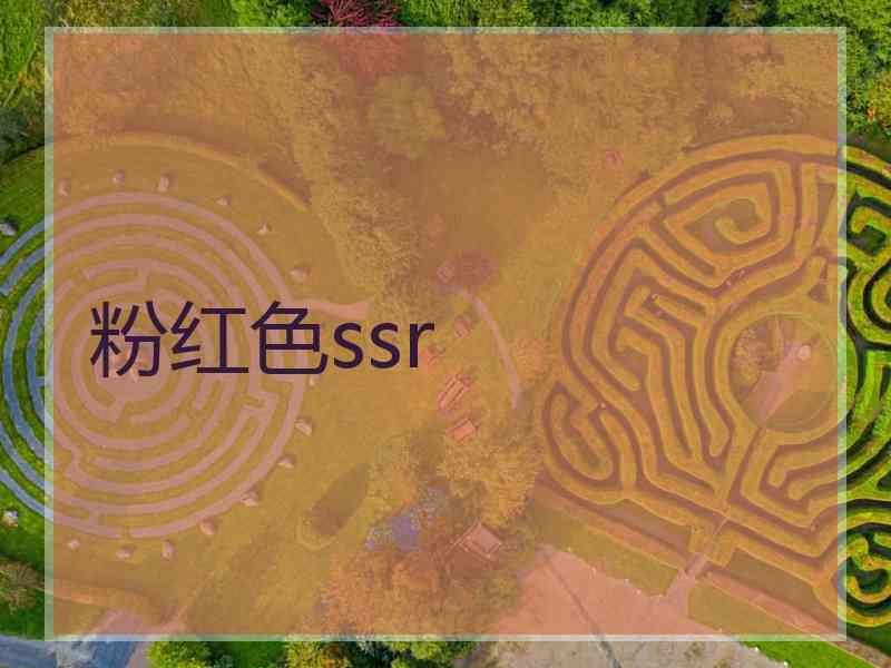 粉红色ssr